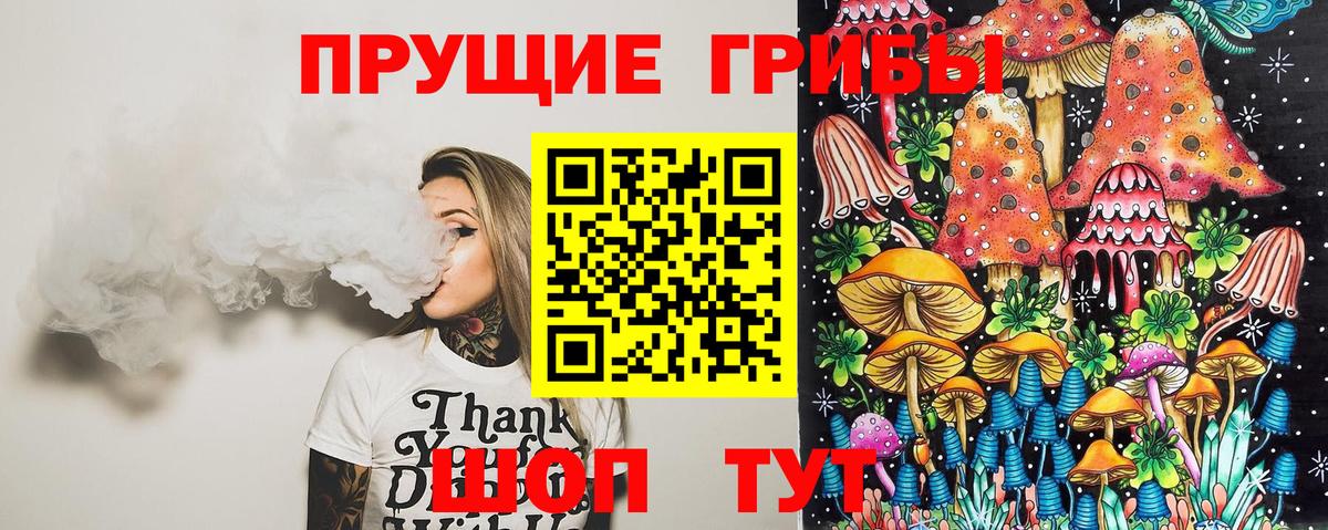 Галлюциногенные грибы Cubensis Железногорск